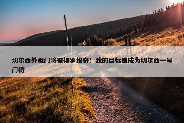 切尔西外租门将彼得罗维奇：我的目标是成为切尔西一号门将