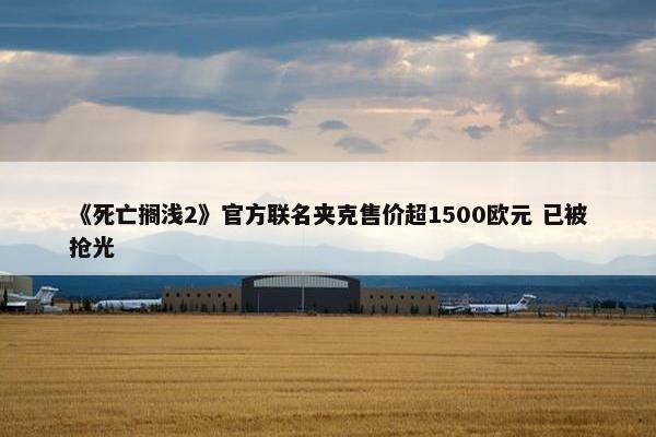 《死亡搁浅2》官方联名夹克售价超1500欧元 已被抢光