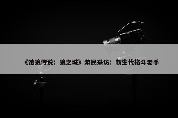 《饿狼传说：狼之城》游民采访：新生代格斗老手