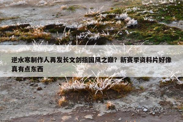 逆水寒制作人再发长文剑指国风之巅？新赛季资料片好像真有点东西