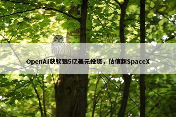 OpenAI获软银5亿美元投资，估值超SpaceX