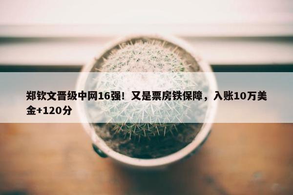 郑钦文晋级中网16强！又是票房铁保障，入账10万美金+120分