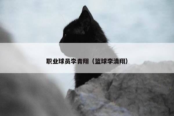 职业球员李青翔（篮球李清翔）