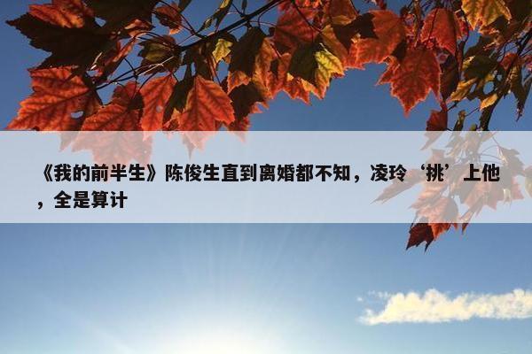 《我的前半生》陈俊生直到离婚都不知，凌玲‘挑’上他，全是算计