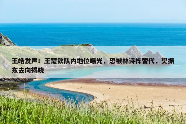 王皓发声！王楚钦队内地位曝光，恐被林诗栋替代，樊振东去向揭晓