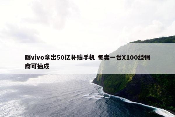 曝vivo拿出50亿补贴手机 每卖一台X100经销商可抽成