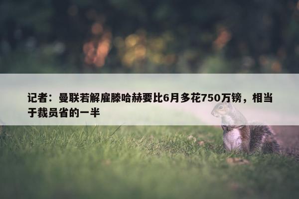 记者：曼联若解雇滕哈赫要比6月多花750万镑，相当于裁员省的一半