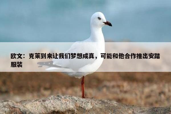 欧文：克莱到来让我们梦想成真，可能和他合作推出安踏服装