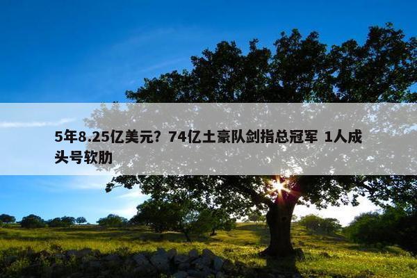 5年8.25亿美元？74亿土豪队剑指总冠军 1人成头号软肋