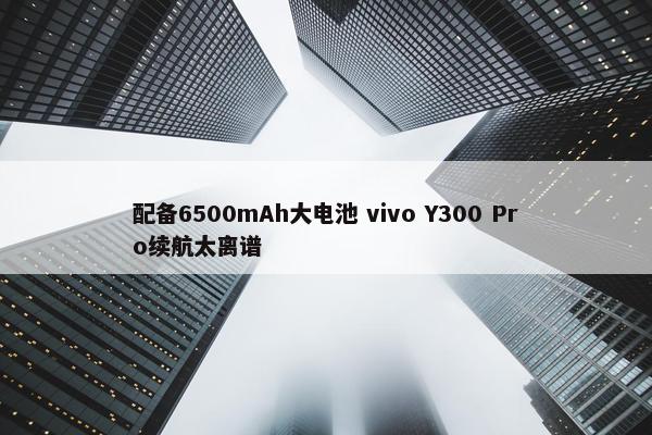 配备6500mAh大电池 vivo Y300 Pro续航太离谱