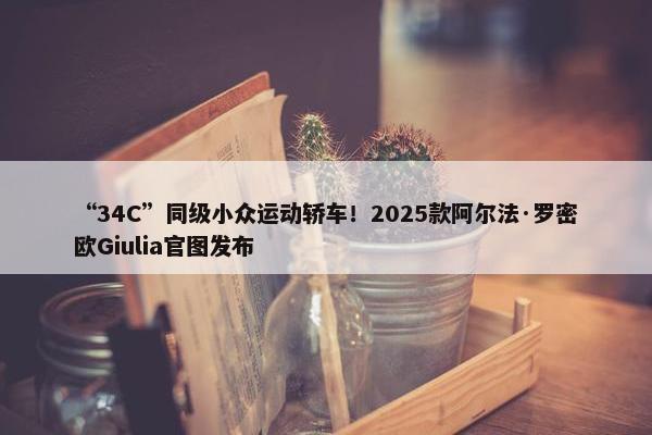 “34C”同级小众运动轿车！2025款阿尔法·罗密欧Giulia官图发布