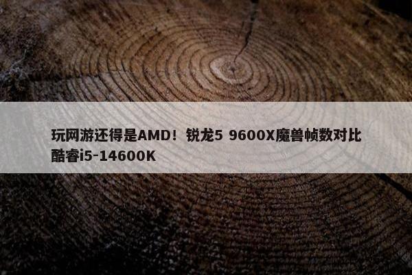 玩网游还得是AMD！锐龙5 9600X魔兽帧数对比酷睿i5-14600K