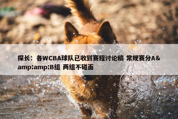 探长：各WCBA球队已收到赛程讨论稿 常规赛分A&amp;B组 两组不碰面