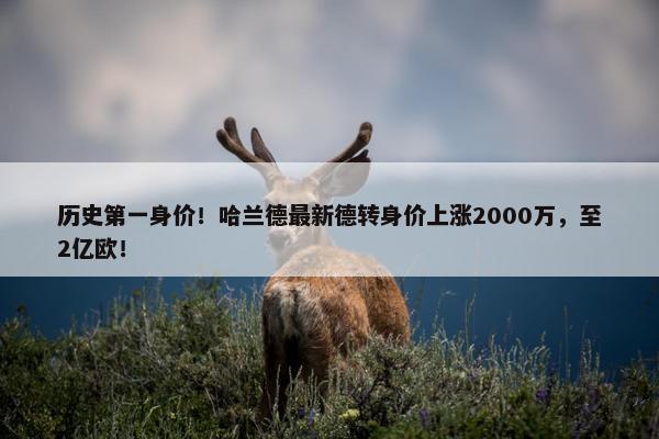 历史第一身价！哈兰德最新德转身价上涨2000万，至2亿欧！