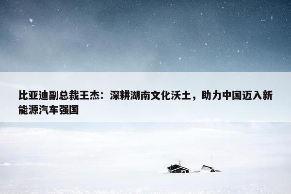 比亚迪副总裁王杰：深耕湖南文化沃土，助力中国迈入新能源汽车强国