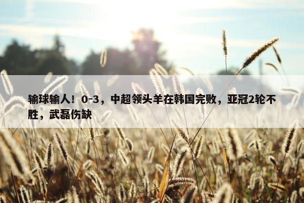 输球输人！0-3，中超领头羊在韩国完败，亚冠2轮不胜，武磊伤缺