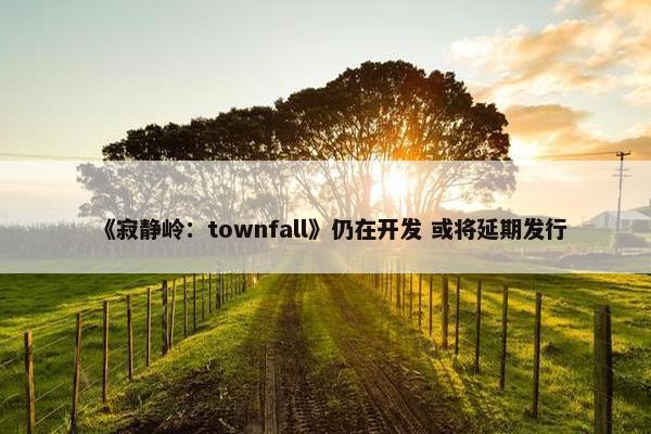 《寂静岭：townfall》仍在开发 或将延期发行