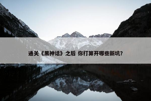 通关《黑神话》之后 你打算开哪些新坑？