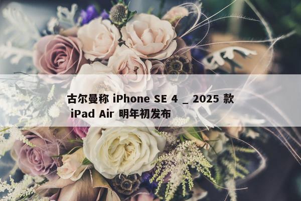 古尔曼称 iPhone SE 4 _ 2025 款 iPad Air 明年初发布