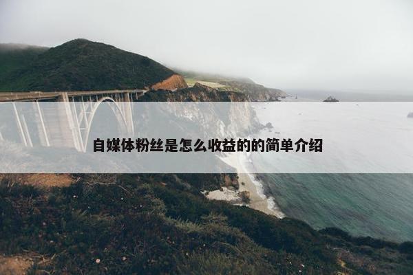 自媒体粉丝是怎么收益的的简单介绍