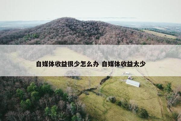 自媒体收益很少怎么办 自媒体收益太少