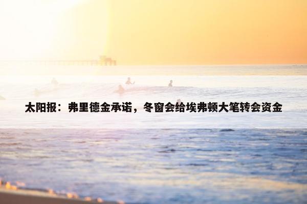 太阳报：弗里德金承诺，冬窗会给埃弗顿大笔转会资金