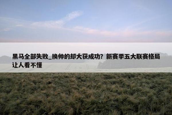 黑马全部失败_换帅的却大获成功？新赛季五大联赛格局让人看不懂