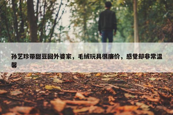 孙艺珍带甜豆回外婆家，毛绒玩具很廉价，感觉却非常温馨