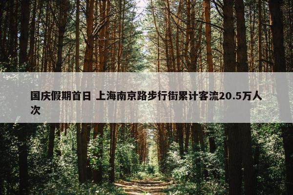 国庆假期首日 上海南京路步行街累计客流20.5万人次