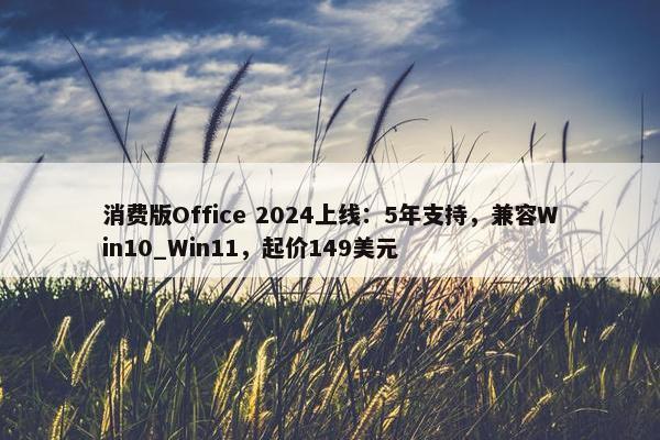 消费版Office 2024上线：5年支持，兼容Win10_Win11，起价149美元