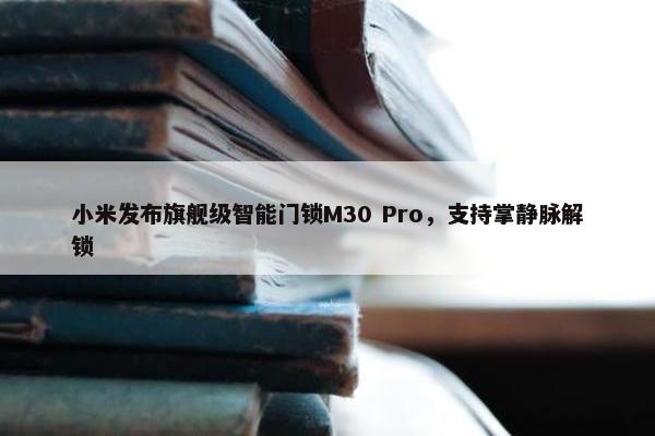 小米发布旗舰级智能门锁M30 Pro，支持掌静脉解锁