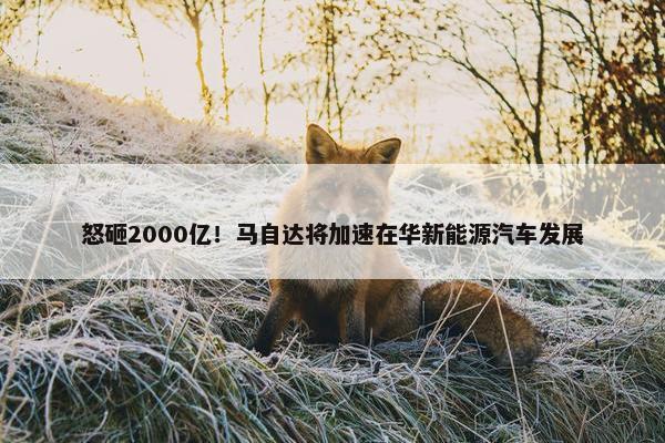 怒砸2000亿！马自达将加速在华新能源汽车发展