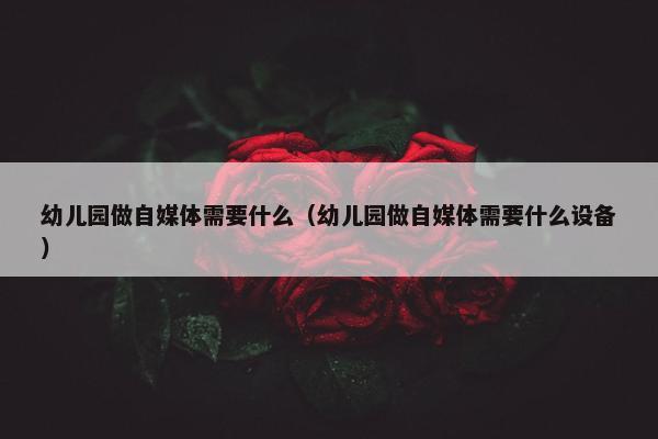 幼儿园做自媒体需要什么（幼儿园做自媒体需要什么设备）