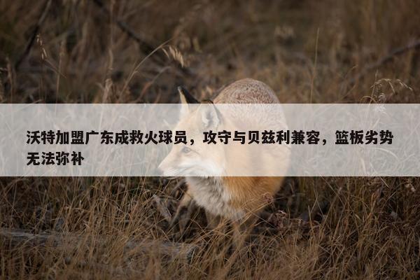 沃特加盟广东成救火球员，攻守与贝兹利兼容，篮板劣势无法弥补