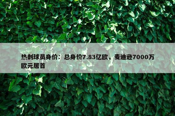 热刺球员身价：总身价7.83亿欧，麦迪逊7000万欧元居首