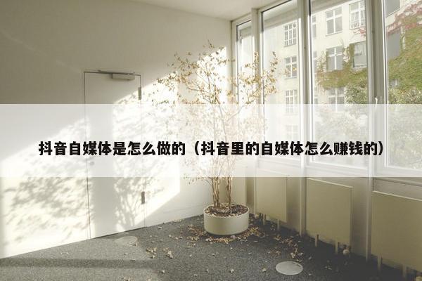 抖音自媒体是怎么做的（抖音里的自媒体怎么赚钱的）