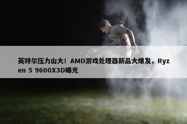 英特尔压力山大！AMD游戏处理器新品大爆发，Ryzen 5 9600X3D曝光