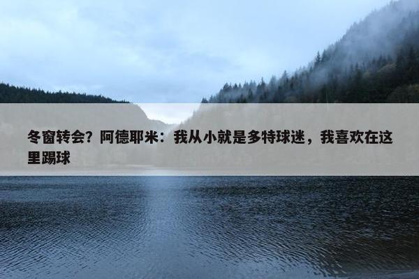 冬窗转会？阿德耶米：我从小就是多特球迷，我喜欢在这里踢球