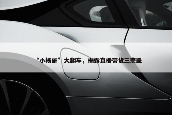 “小杨哥”大翻车，揭露直播带货三宗罪