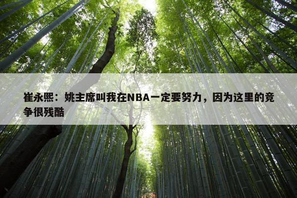 崔永熙：姚主席叫我在NBA一定要努力，因为这里的竞争很残酷