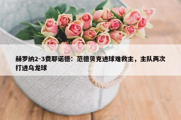 赫罗纳2-3费耶诺德：范德贝克进球难救主，主队两次打进乌龙球