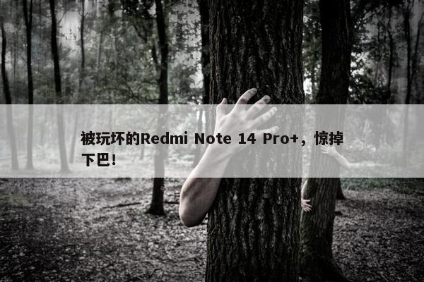 被玩坏的Redmi Note 14 Pro+，惊掉下巴！