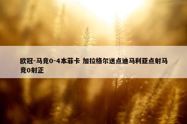 欧冠-马竞0-4本菲卡 加拉格尔送点迪马利亚点射马竞0射正