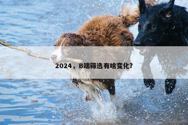 2024，B端筛选有啥变化？