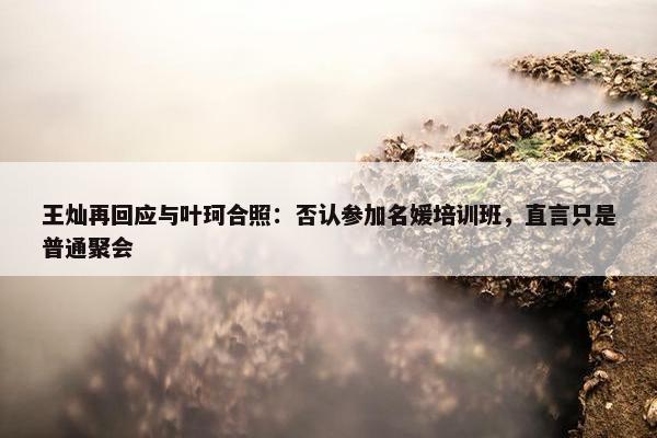 王灿再回应与叶珂合照：否认参加名媛培训班，直言只是普通聚会