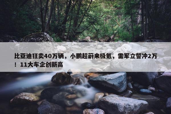 比亚迪狂卖40万辆，小鹏超蔚来极氪，雷军立誓冲2万！11大车企创新高