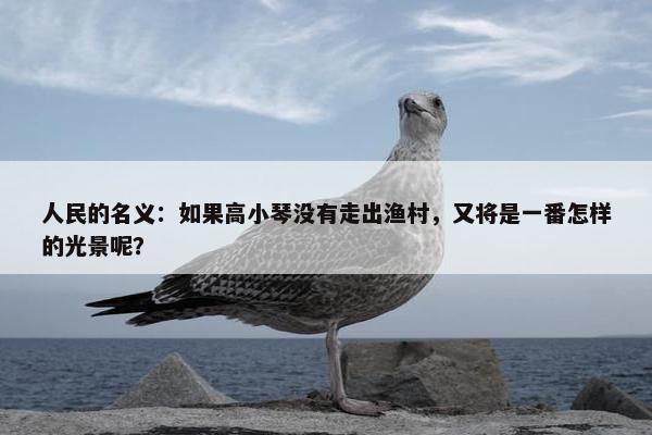 人民的名义：如果高小琴没有走出渔村，又将是一番怎样的光景呢？