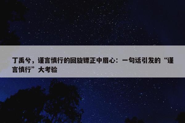 丁禹兮，谨言慎行的回旋镖正中眉心：一句话引发的“谨言慎行”大考验