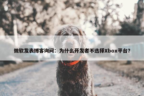 微软发表博客询问：为什么开发者不选择Xbox平台？