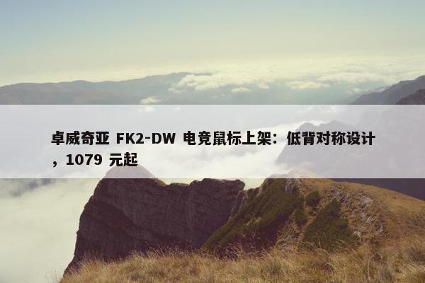 卓威奇亚 FK2-DW 电竞鼠标上架：低背对称设计，1079 元起